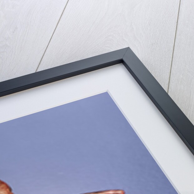 Cauldron handle, bird with the torso of a woman by Scythian Scythian