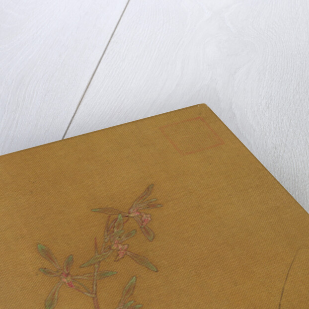 Orchids by Japanese School