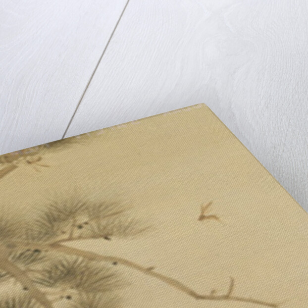 Monkey watching a dragonfly by Japanese School