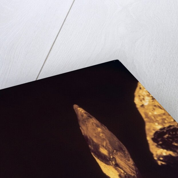 Knapped axe or spear head by Paleolithic Paleolithic