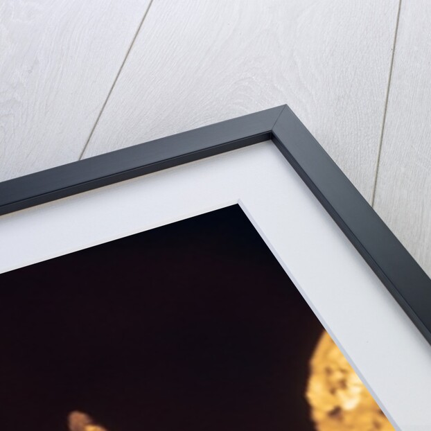 Knapped axe or spear head by Paleolithic Paleolithic