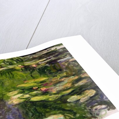 Waterlilies, c.1910s by Claude Monet