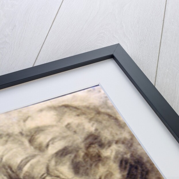 Mme Dieterle in a Hat, c.1896 by Pierre Auguste Renoir