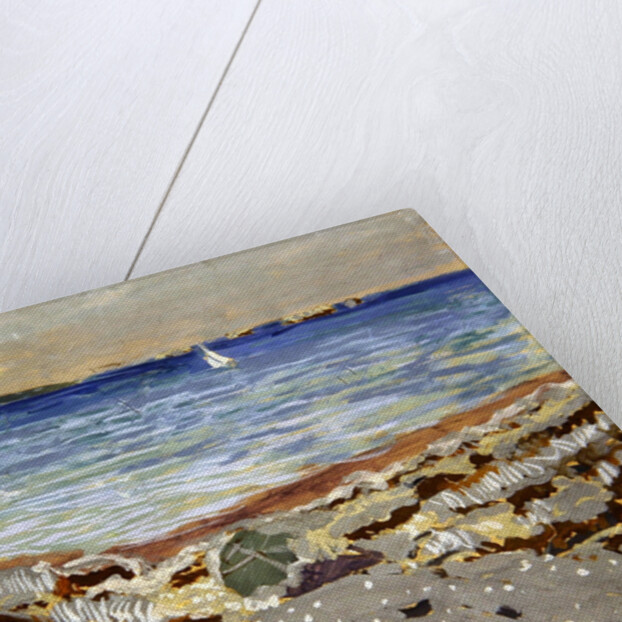 Marine, 1906 by Edouard Vuillard