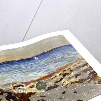 Marine, 1906 by Edouard Vuillard