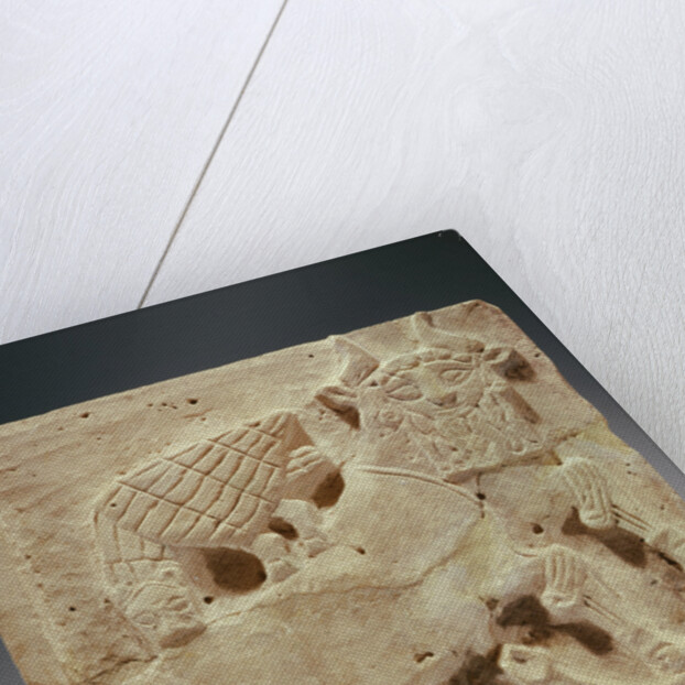 Plaque depicting a lion attacking a bull, from Iraq, c.2000 BC by Sumerian Sumerian