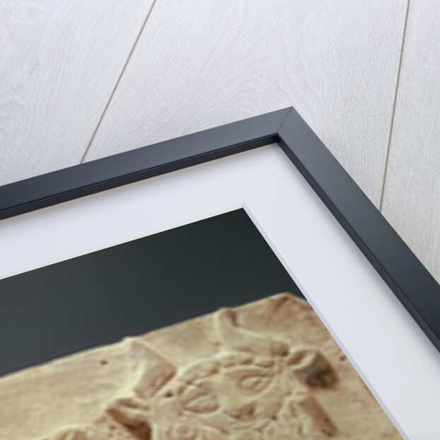 Plaque depicting a lion attacking a bull, from Iraq, c.2000 BC by Sumerian Sumerian