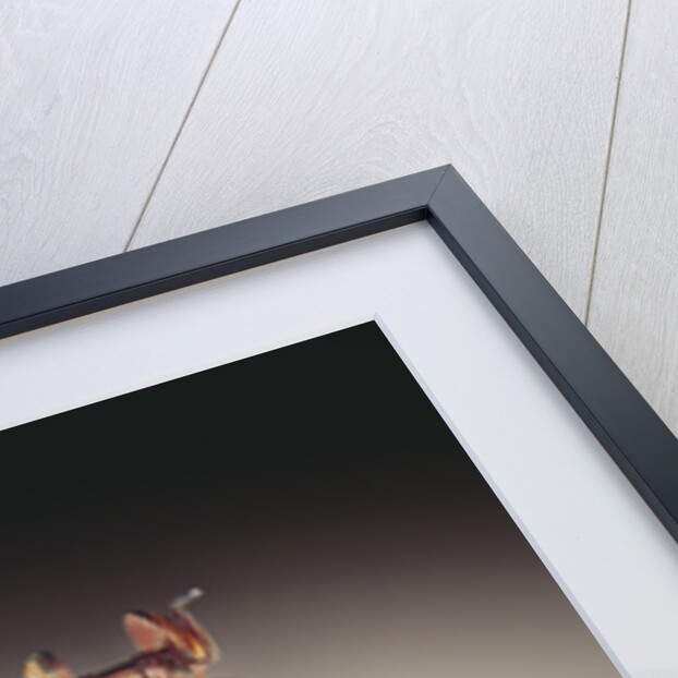 Earrings with hybrid birds with wings of falcons and heads of ducks by Egyptian 18th Dynasty