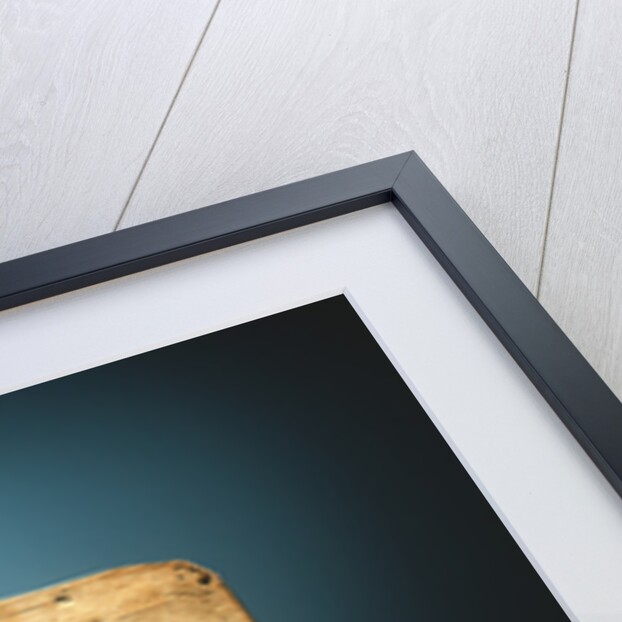 Pictograph letter by School Siberian