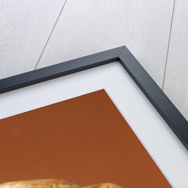 Peking Man's reconstructed skull, Cave Choukou'tien by School Chinese