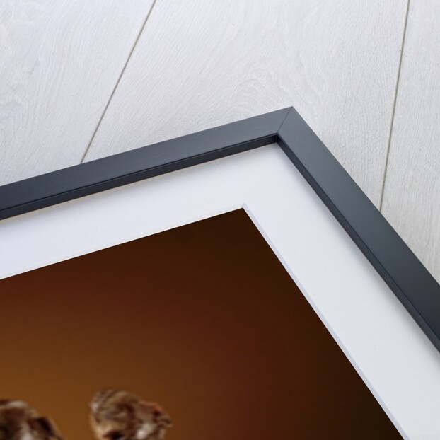 Figures with xylophone by Culture Dogon