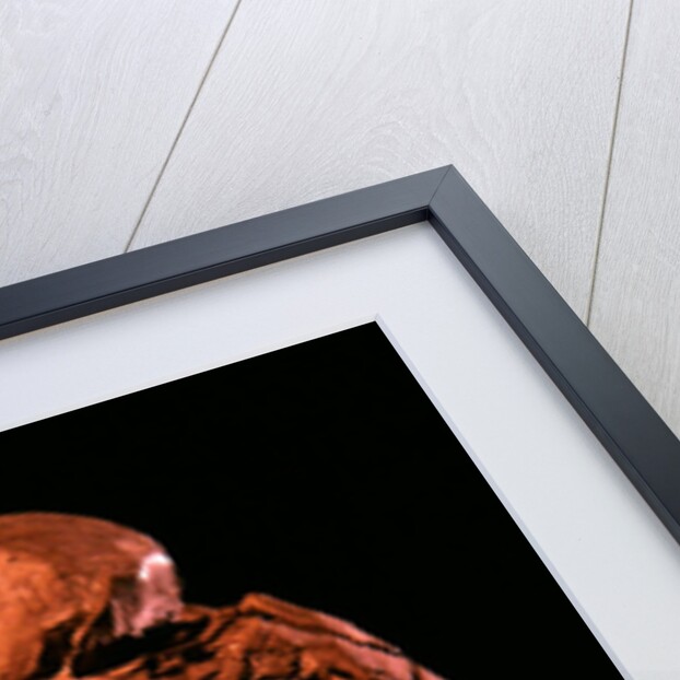 Madame Hanako, 1908 by Auguste Rodin