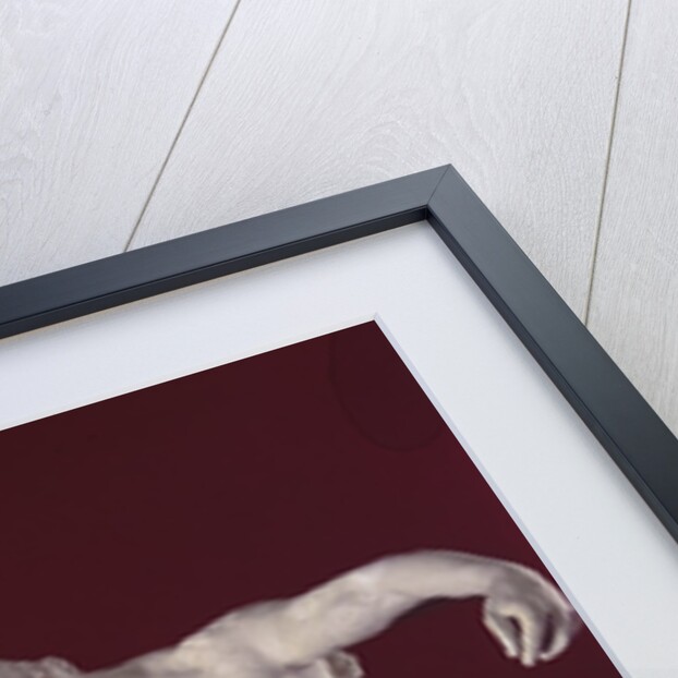 Eternal Springtime, 1884 by Auguste Rodin