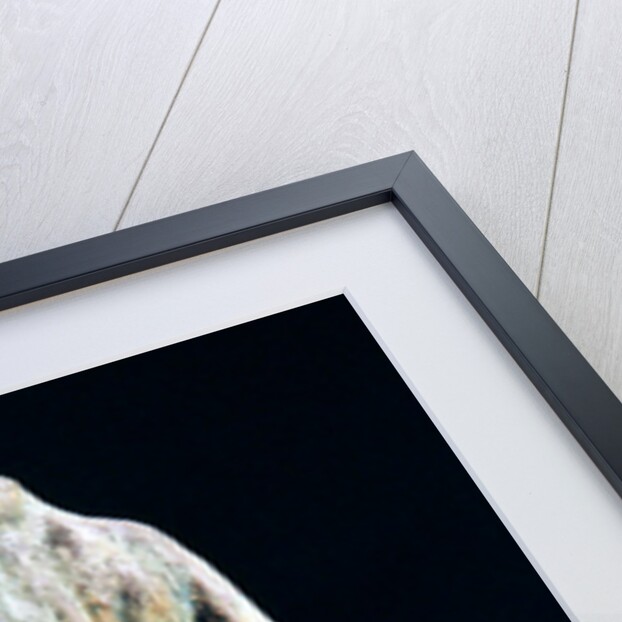 Torso of a Young Woman, 1909 by Auguste Rodin