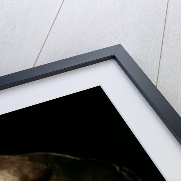 Rose Bennet by Auguste Rodin