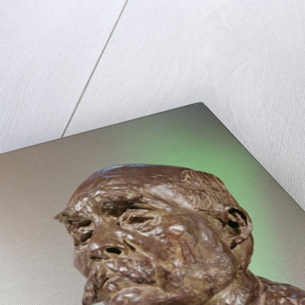 Bust of Georges Clemenceau, 1911 by Auguste Rodin