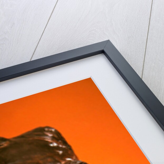 George Bernard Shaw, 1906 by Auguste Rodin