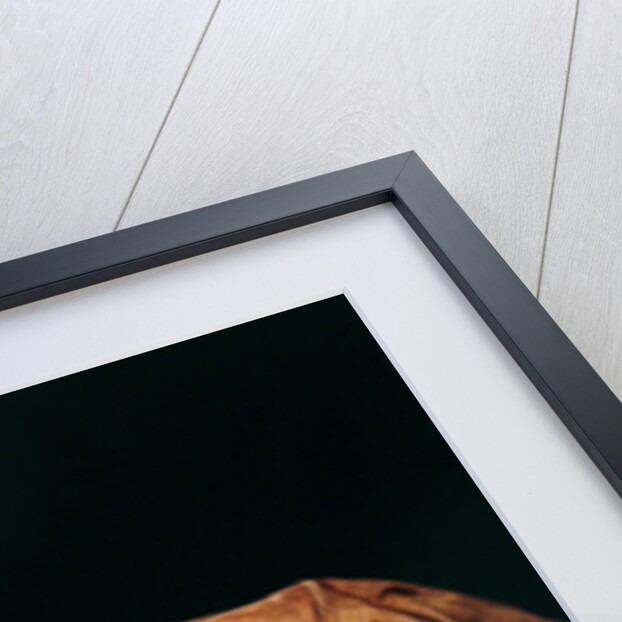 Angel by Neapolitan School