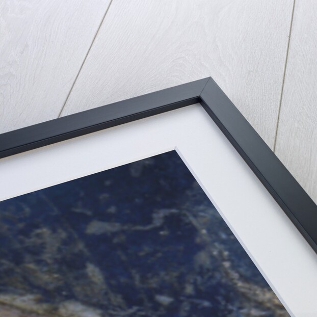 Head of a shepherd by Giotto