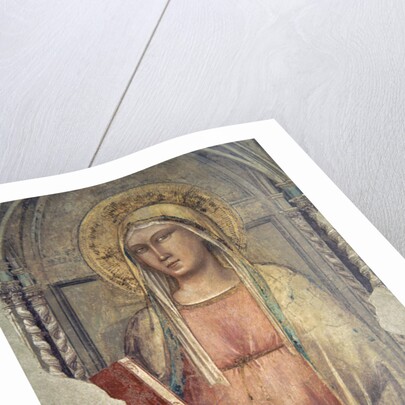 Madonna del Parto by Taddeo Gaddi