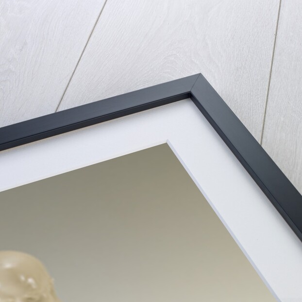 Bodhidharma, Ming dynasty by School Chinese