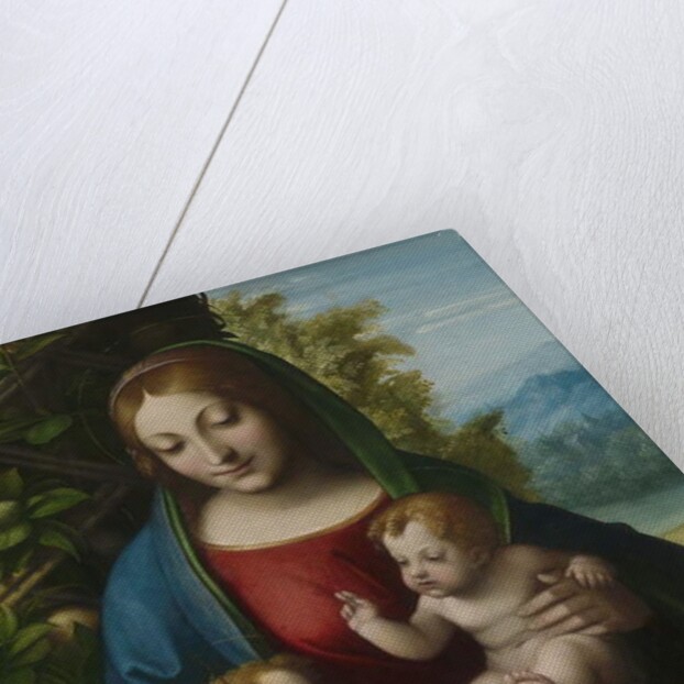 Virgin and Child with the Young Saint John the Baptist, c.1515 by (c.1489-1534) Correggio
