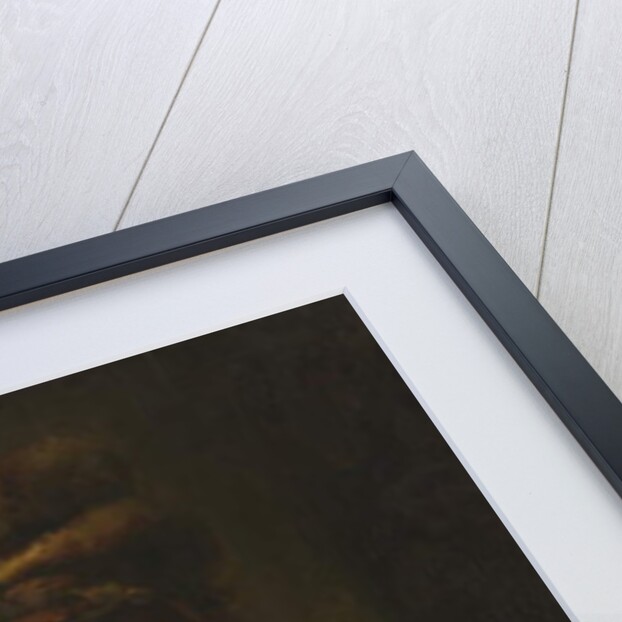 An Old Man in a Fur Cap, 1650-60 by Karel van der Pluym