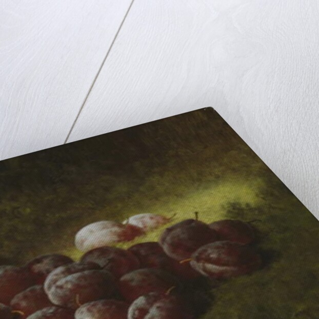 Purple Plums, 1895 by Carducius Plantagenet Ream