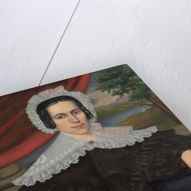 Woman with a Green Book, 1838 by Erastus Salisbury Field