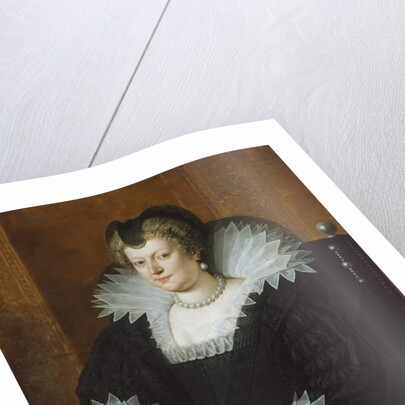 Marie de Médicis, 1616 by Frans II Pourbus