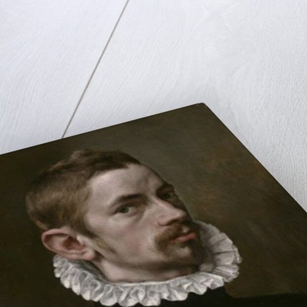 Portrait of a Man, c.1575 by Flemish School
