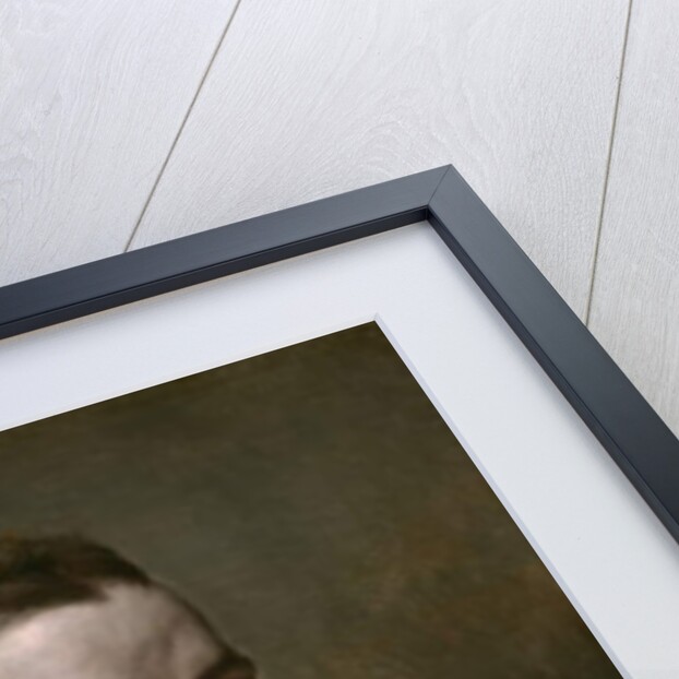 Portrait of a Man, c.1575 by Flemish School