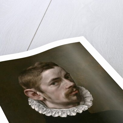 Portrait of a Man, c.1575 by Flemish School