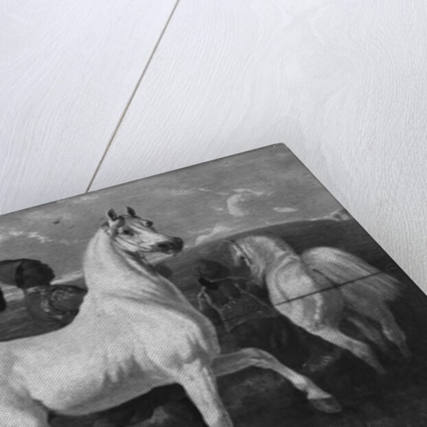 Arabian Horses, 19th century by Eugene Fromentin