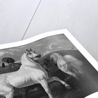 Arabian Horses, 19th century by Eugene Fromentin