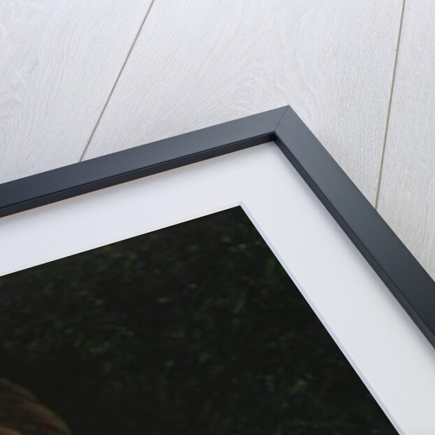 Portrait of the Katchef Dahouth, Christian Mameluke, 1804 by Anne Louis Girodet de Roucy-Trioson