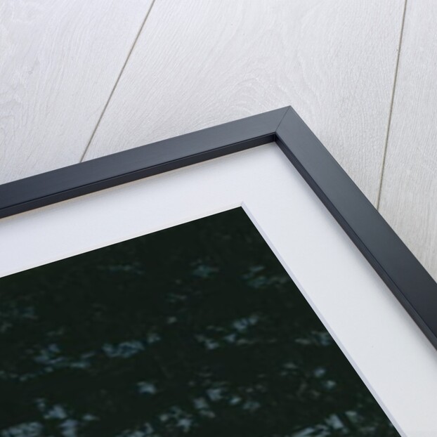 Fisherman's Cottage, 1906 by Harald Oscar Sohlberg