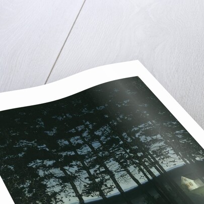 Fisherman's Cottage, 1906 by Harald Oscar Sohlberg