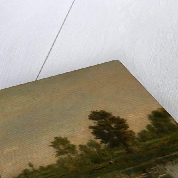 The Marsh, 1871 by Charles Francois Daubigny