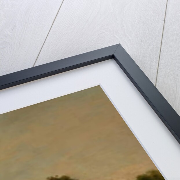 The Marsh, 1871 by Charles Francois Daubigny