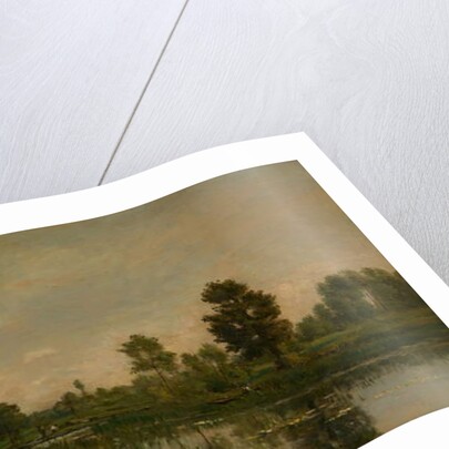 The Marsh, 1871 by Charles Francois Daubigny