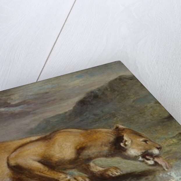 Wounded Lioness, 184050 by Pierre Andrieu