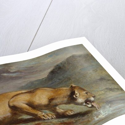 Wounded Lioness, 184050 by Pierre Andrieu