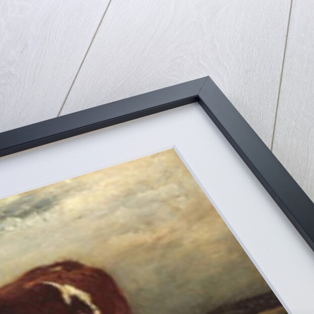 Study of a Cow, 1870-90 by Emile van Marcke de Lummen