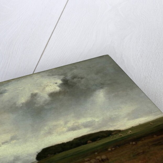 The Storm, 1876 by George Snr. Inness