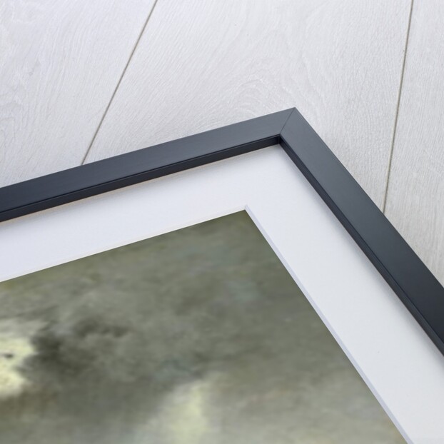 The Storm, 1876 by George Snr. Inness