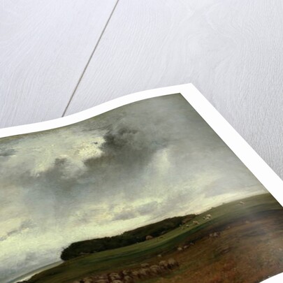 The Storm, 1876 by George Snr. Inness