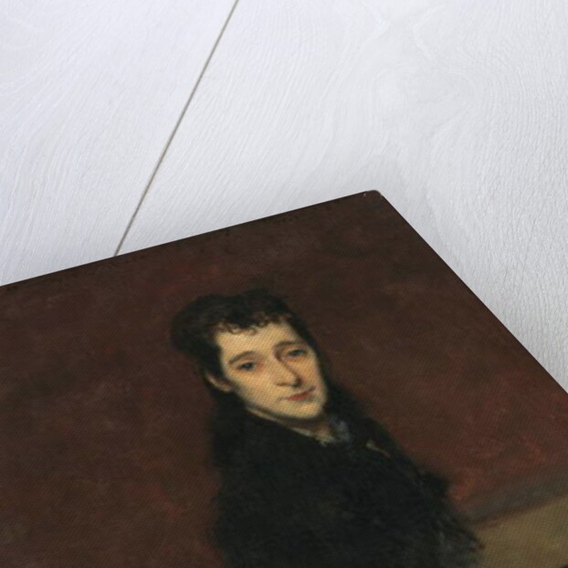 Mrs Charles Gifford Dyer, 1880 by John Singer Sargent