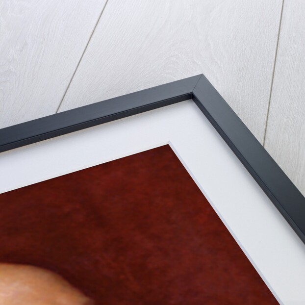 Robert Arthur Talbot Gascoyne-Cecil, 3rd Marquess of Salisbury, 1882 by George Frederic Watts