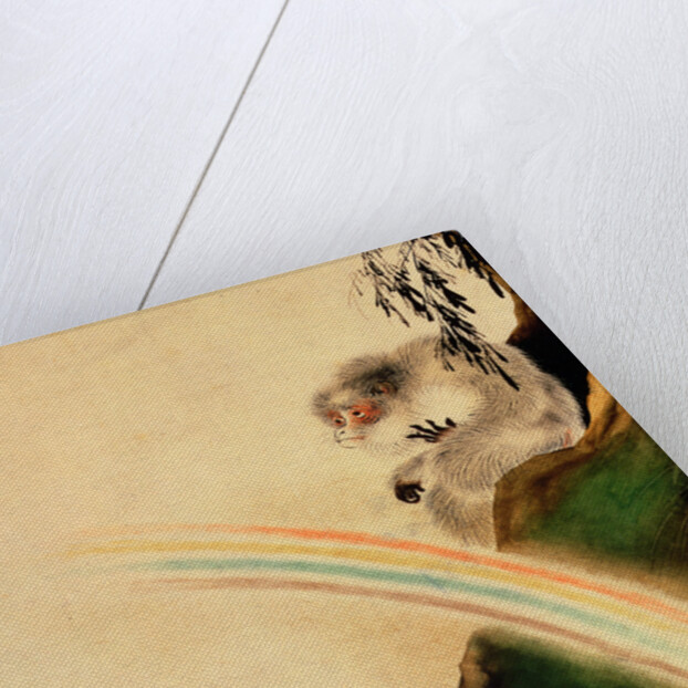 Gibbon seated on a rock with rainbow in foreground by Shibata Zeshin